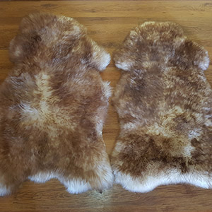 Mouflon schapenvacht tapijt groothandel huid fabrikant Polen