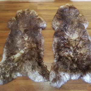 Mouflon schapenvacht tapijt groothandel huid fabrikant Polen