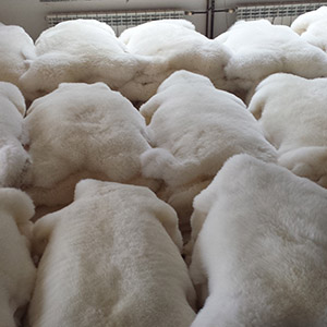 Looierij schapenvachten tapijt groothandel fabrikant Polen